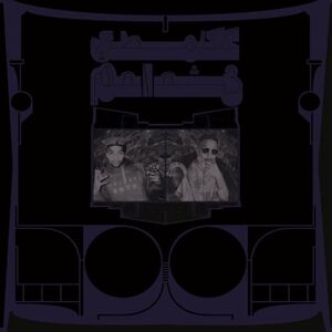 Exotic Birds Of Prey Exotic Birds Of Prey