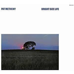 Bright Size Life Bright Size Life