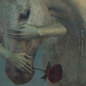 All Smiles Tonight All Smiles Tonight