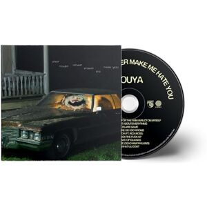 They Could Never Make Me Hate You They Could Never Make Me Hate You