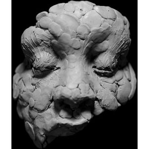 OBSERVATIONS FROM A CROWDED ROOM OBSERVATIONS FROM A CROWDED ROOM