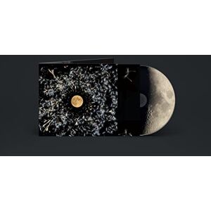 All Of This Is Chance All Of This Is Chance