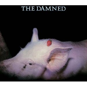 Strawberries (40th Anniversary 2 CD Edition) Strawberries (40th Anniversary 2 CD Edition)