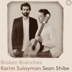 Broken Branches Broken Branches