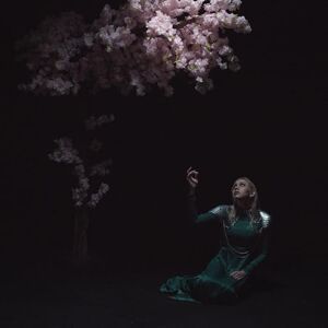 AS THE LIGHT LEFT AS THE LIGHT LEFT