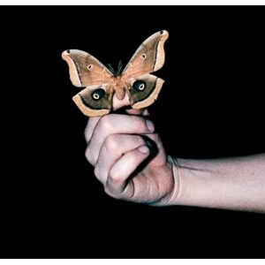 ALL SYSTEMS ARE LYING ALL SYSTEMS ARE LYING