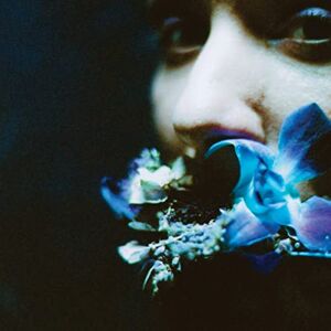 Reaching For Indigo Reaching For Indigo