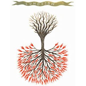 Love Is Love Love Is Love