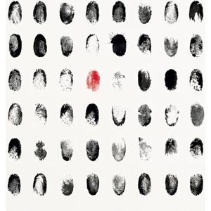 OÙ EST PASSÉ ZEUDOG ? OÙ EST PASSÉ ZEUDOG ?