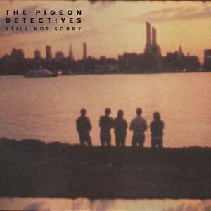 Still Not Sorry Still Not Sorry