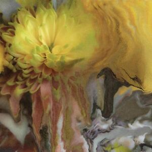 Wilderness Within You Wilderness Within You