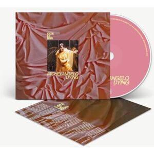 Michelangelo Dying Michelangelo Dying