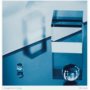 A Thought Is Not a Feeling A Thought Is Not a Feeling