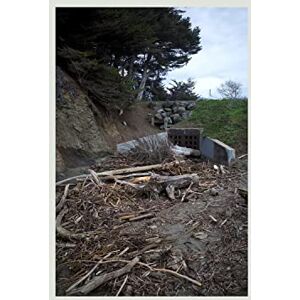 Five Easy Hot Dogs Five Easy Hot Dogs