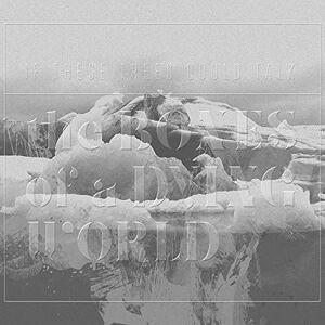 The Bones Of A Dying World The Bones Of A Dying World