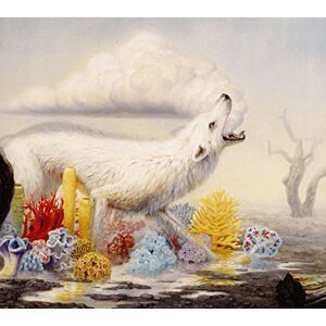 Hollow Bones Hollow Bones