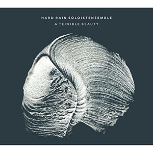 A Terrible Beauty A Terrible Beauty