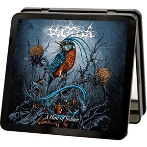 A Hint Of Solace A Hint Of Solace