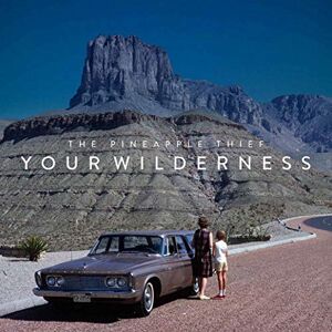 Your Wilderness Your Wilderness