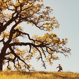 The Golden Years The Golden Years