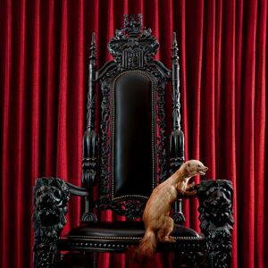 Marten (Hardcover Book 18x18 Cm, 36 Pages) Marten (Hardcover Book 18x18 Cm, 36 Pages)