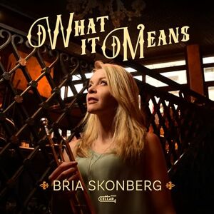 What It Means What It Means