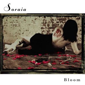 Bloom Bloom