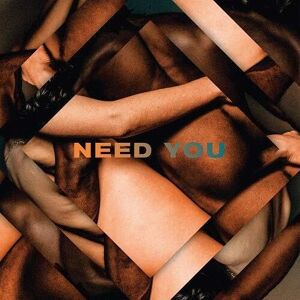 Need You Need You