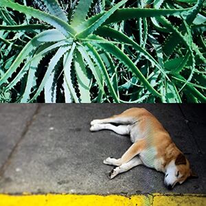 All The Things That Happen All The Things That Happen