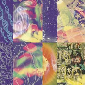 The Neon Gate The Neon Gate