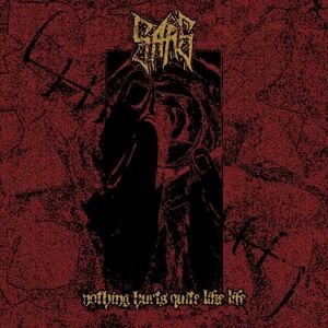 Nothing Hurts Quite Like Life Nothing Hurts Quite Like Life