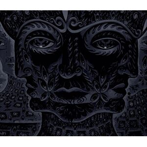 10,000 Days 10,000 Days