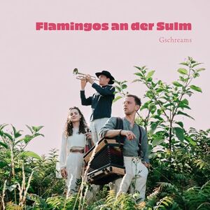 Flamingos An der Sulm Flamingos An der Sulm