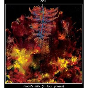 MOON'S MILK (IN FOUR PHASES) MOON'S MILK (IN FOUR PHASES)