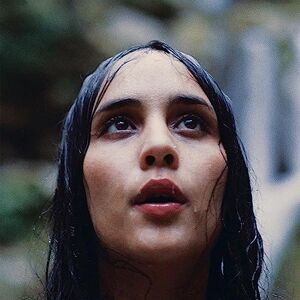 Still Life Still Life