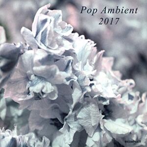 Pop Ambient 2017 Pop Ambient 2017