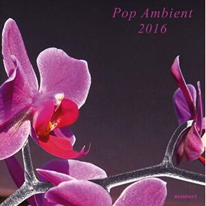 Pop Ambient 2016 Pop Ambient 2016