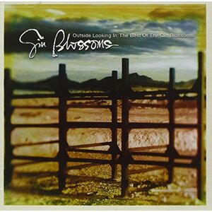Outside Looking In: The Best of the Gin Blossoms Outside Looking In: The Best of the Gin Blossoms