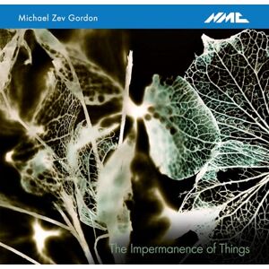Michael Zev Gordon: The Impermanence Of Things Michael Zev Gordon: The Impermanence Of Things