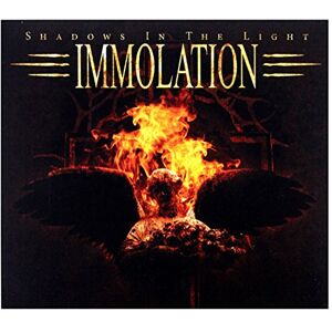 Shadows In The Light Shadows In The Light