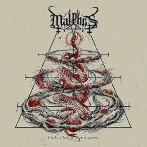 Flesh,Blood & Cosmic Storms Flesh,Blood & Cosmic Storms