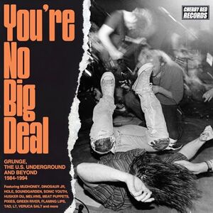 YOU'RE NO BIG DEAL GRUNGE, THE U.S. UNDERGROUND AND BEYOND 1984-1994 4CD CLAMSHELL BOX YOU'RE NO BIG DEAL GRUNGE, THE U.S. UNDERGROUND AND BEYOND 1984-1994 4CD CLAMSHELL BOX