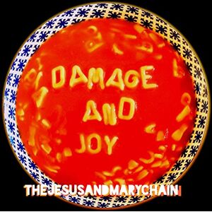 Damage and Joy Damage and Joy