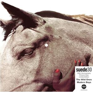 Suede: The Wild Ones 30th Anniversary Edition Picture Disc Suede: The Wild Ones 30th Anniversary Edition Picture Disc