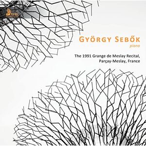 The 1991 Grange de Meslay Recital, Parcay-Meslay, France The 1991 Grange de Meslay Recital, Parcay-Meslay, France
