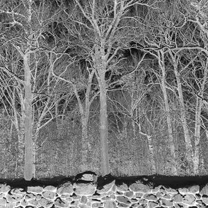 Sunshine and Balance Beams Sunshine and Balance Beams