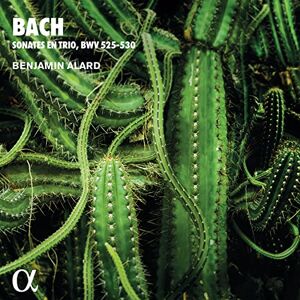 Bach: Sonates en trio, BWV 525-530 Bach: Sonates en trio, BWV 525-530