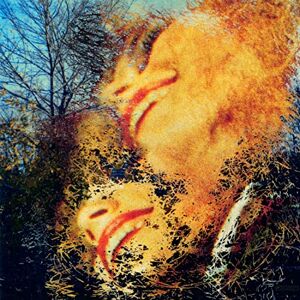 See Those Colours Fly See Those Colours Fly