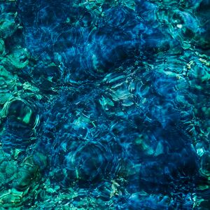 Luminescent Creatures Luminescent Creatures