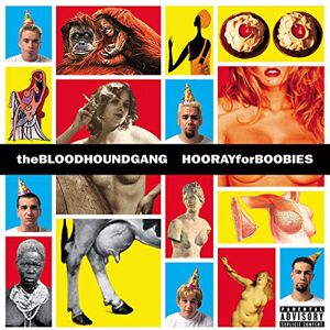 Hooray For Boobies 25th Anniversary (2LP) Hooray For Boobies 25th Anniversary (2LP)